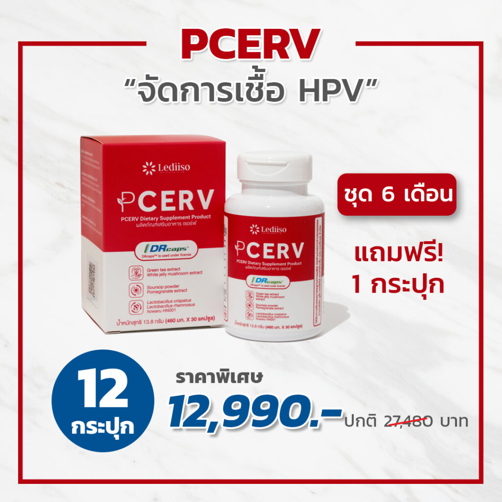 PCERV เซอร์ฟ 12 กระปุก แถมฟรี 1 กระปุก (ชุด 6 เดือน)