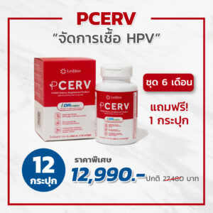 PCERV เซอร์ฟ 12 กระปุก แถมฟรี 1 กระปุก (ชุด 6 เดือน)