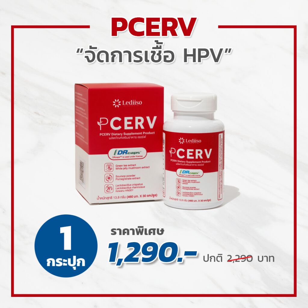 PCERV เซอร์ฟ 1 กระปุก